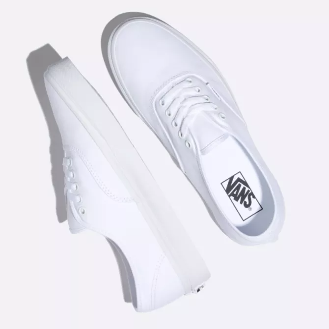 Vans authentic mens hot sale shoes