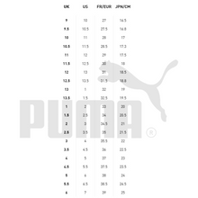 Load image into Gallery viewer, PUMA - Rickie V PS - White/Gray - Kids [391327 01]